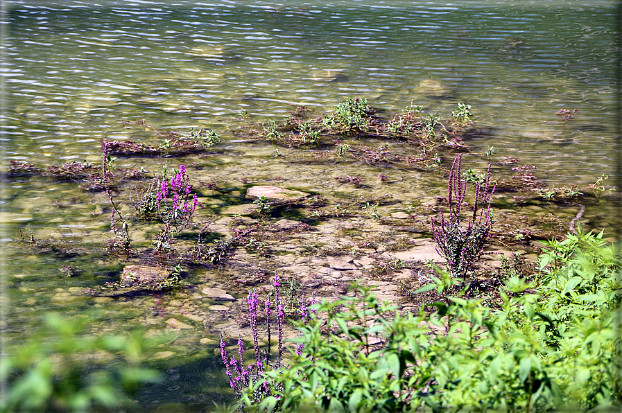 foto Lago di Terlago